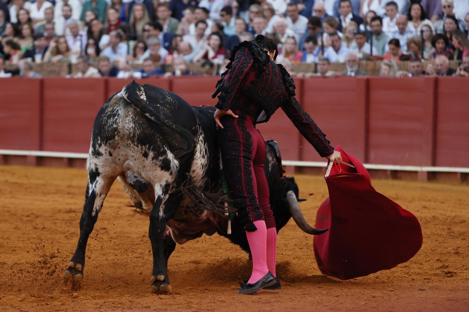 Las imágenes del primer festejo de San Miguel