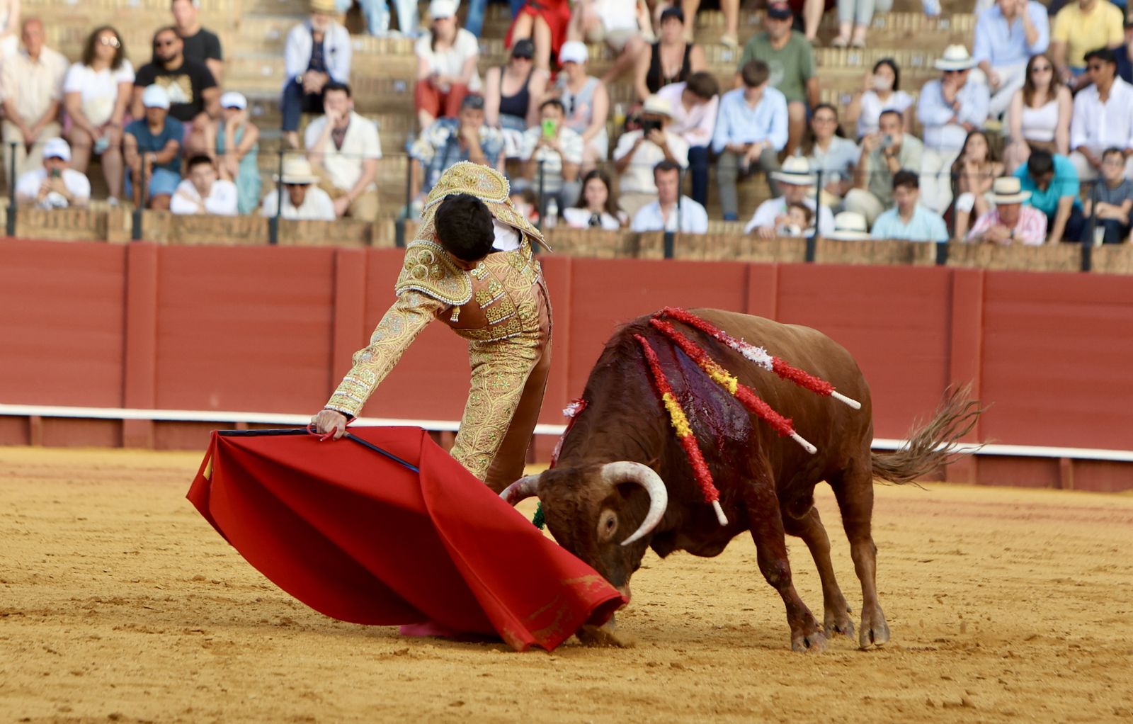 Novillada El Melli, Aarón Palacios y Manuel Jesús  Carrión