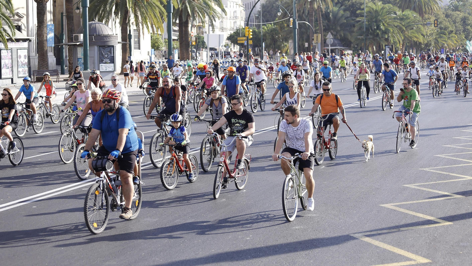 Día de la Bicicleta celebrado en 2019 en el marco de la Semana Europea de la Movilidad.