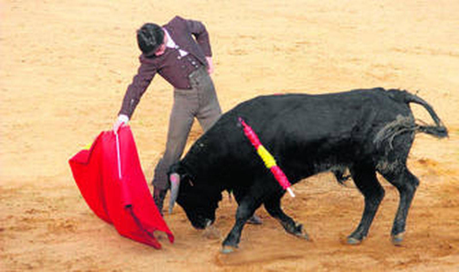 1.  Emilio Silvera, asentada la planta y tirando muy templado de la buena clase del novillo. 2. Oliva Soto llevando toreando al segundo de la tarde en este muletazo de pecho. 3. Curro Moreno remata de esta forma una faena que tuvo la virtud de ir de menos a más. 4. David Galán iniciando el toreo al natural frente al primero de la tarde.