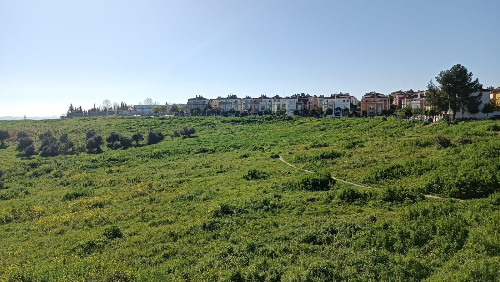 Al fondo, la urbanización El Señorío de Guzmán