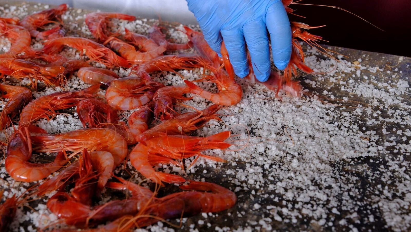 Gamba roja de Garrucha.