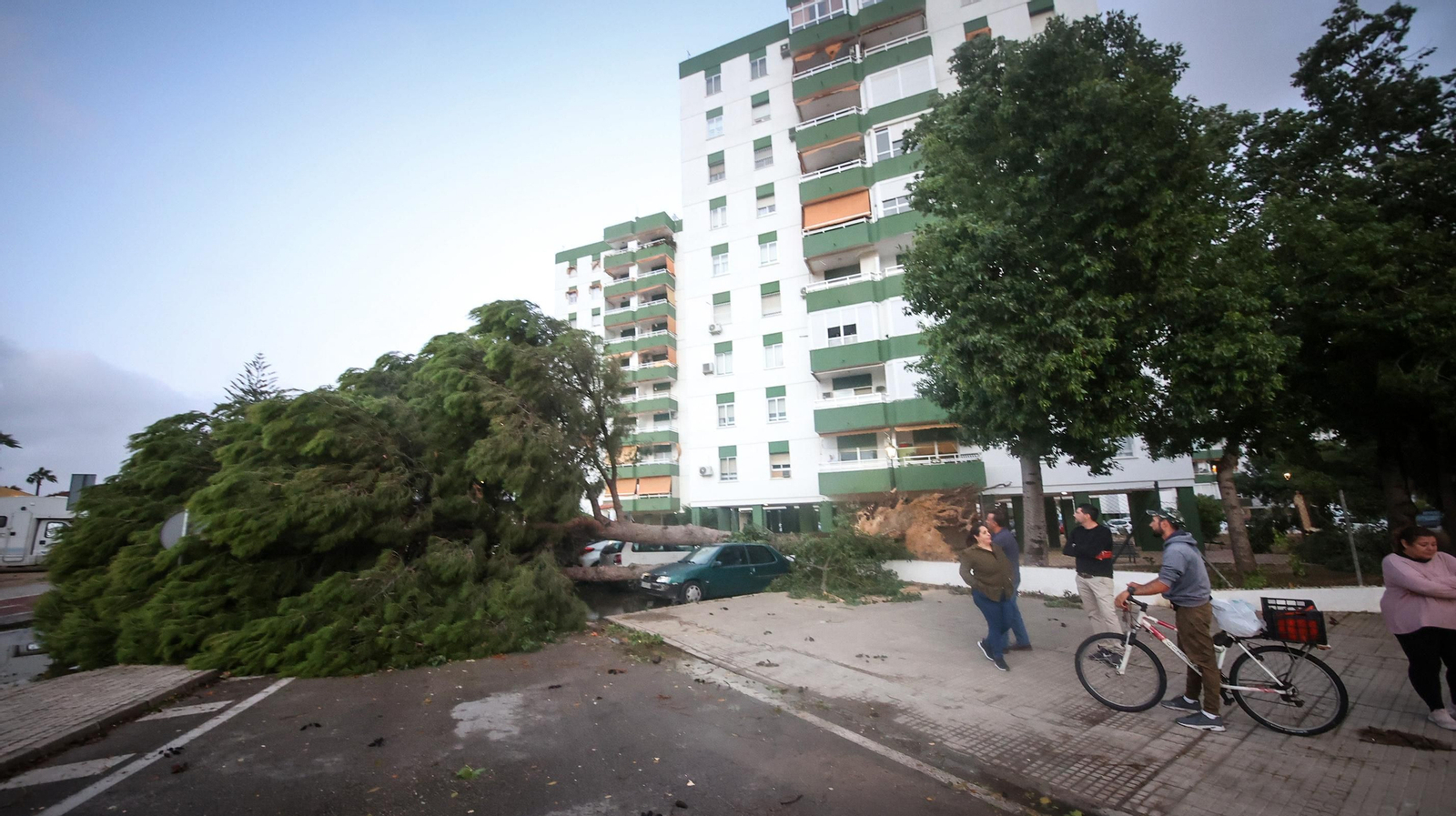 Caos en Jerez por los destrozos del temporal de viento