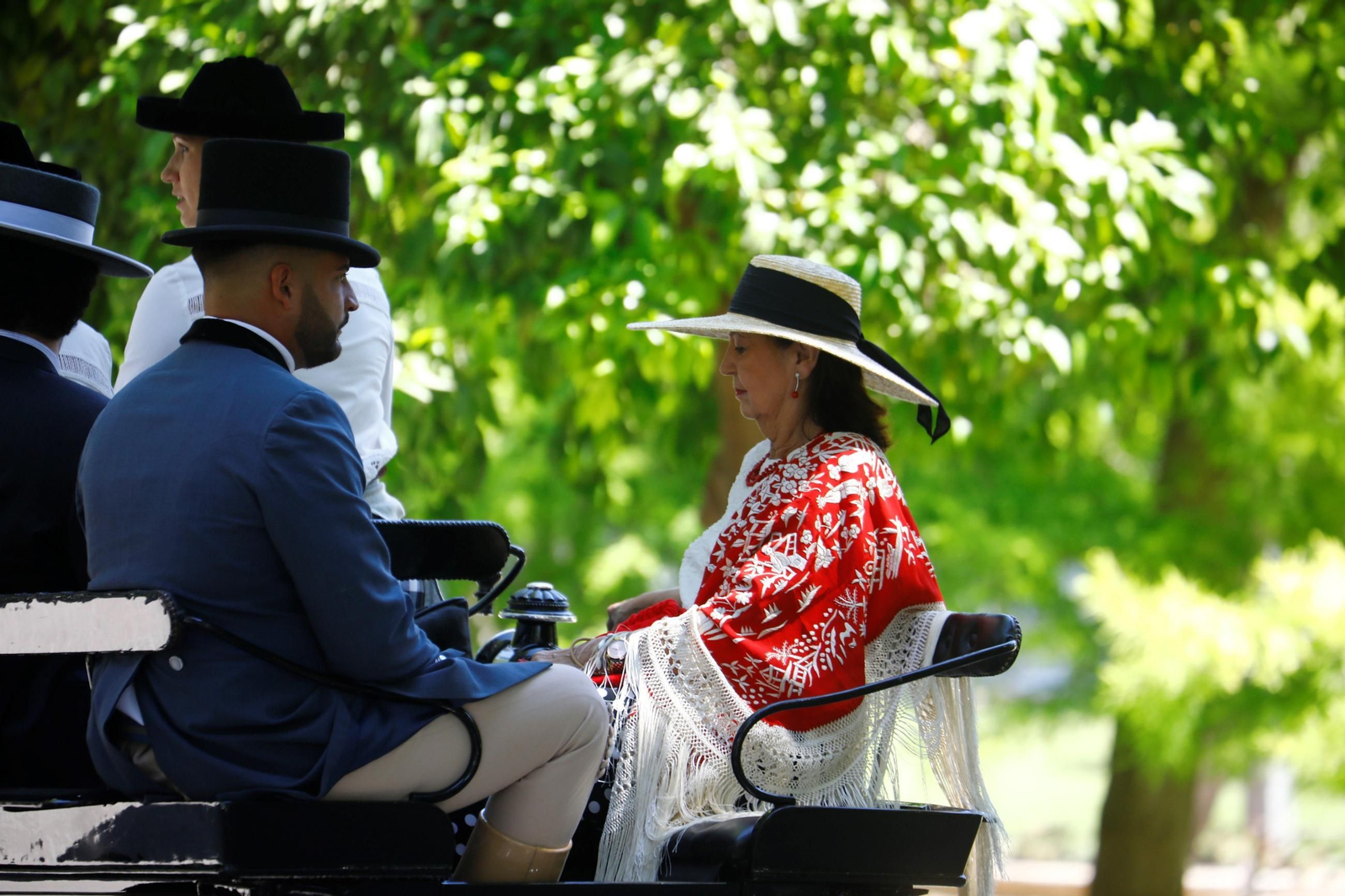 La exhibición de carruajes de tradición Nuestra Señora de la Salud, en imágenes