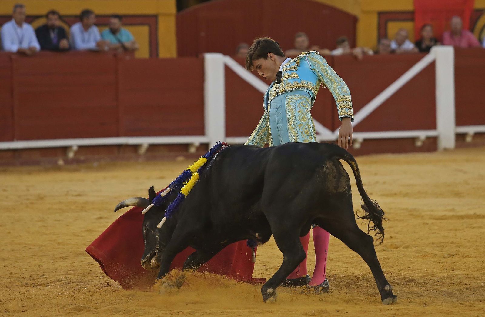 La novillada de Miguelín que abre la feria de Algeciras, en imágenes