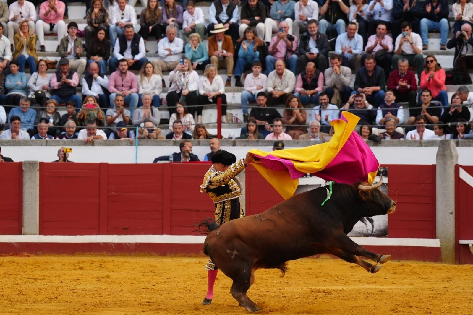 La corrida triunfal de Castella, Manzanares y Roca Rey en Pozoblanco, en imágenes