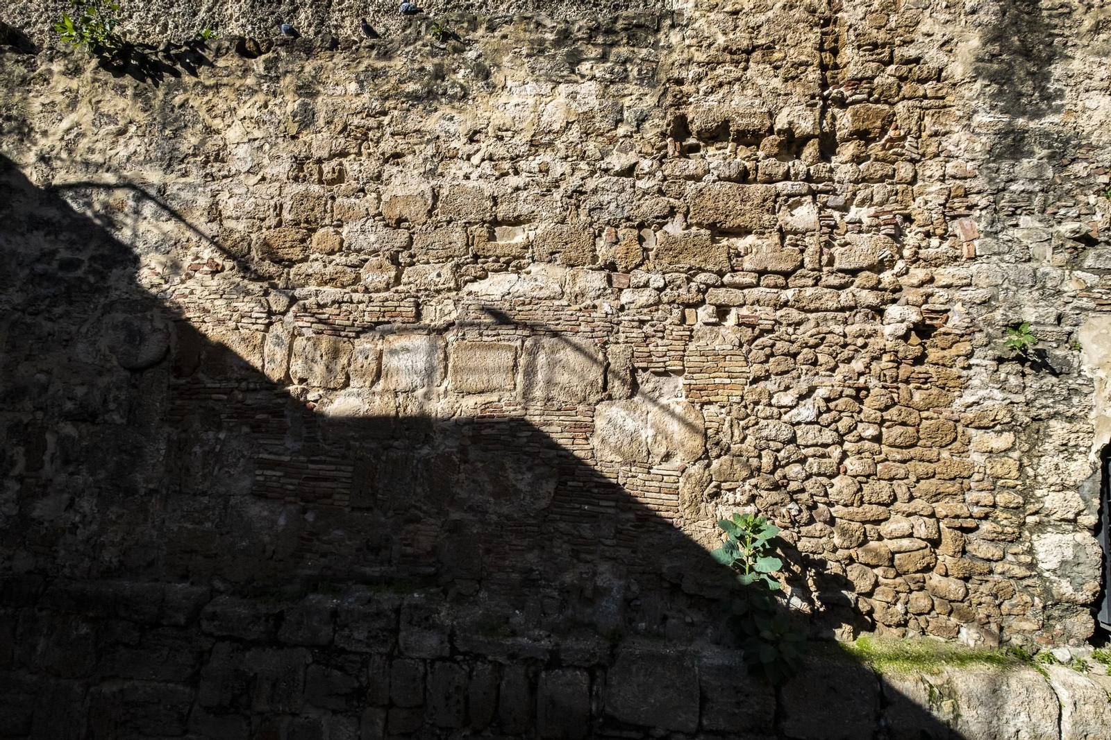 Arco de los Blanco y muralla medieval