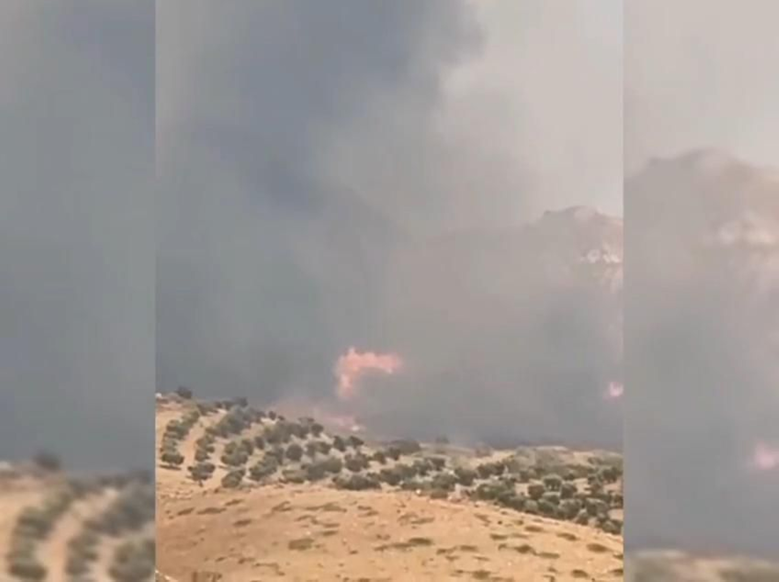 Incendio en Lubrín