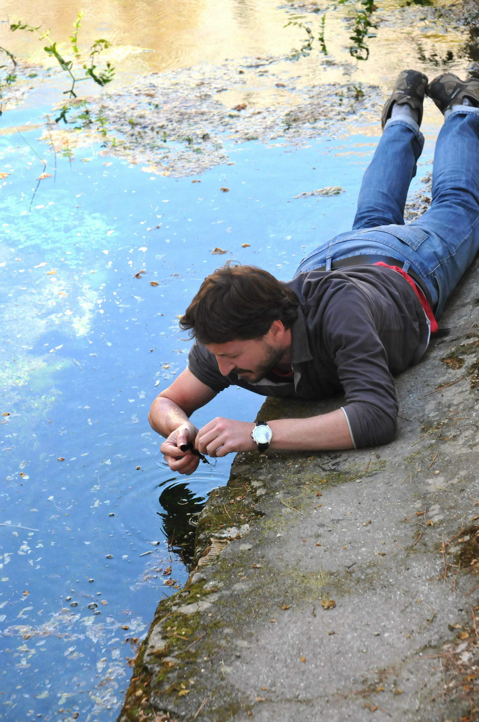 En un muestreo de invertebrados