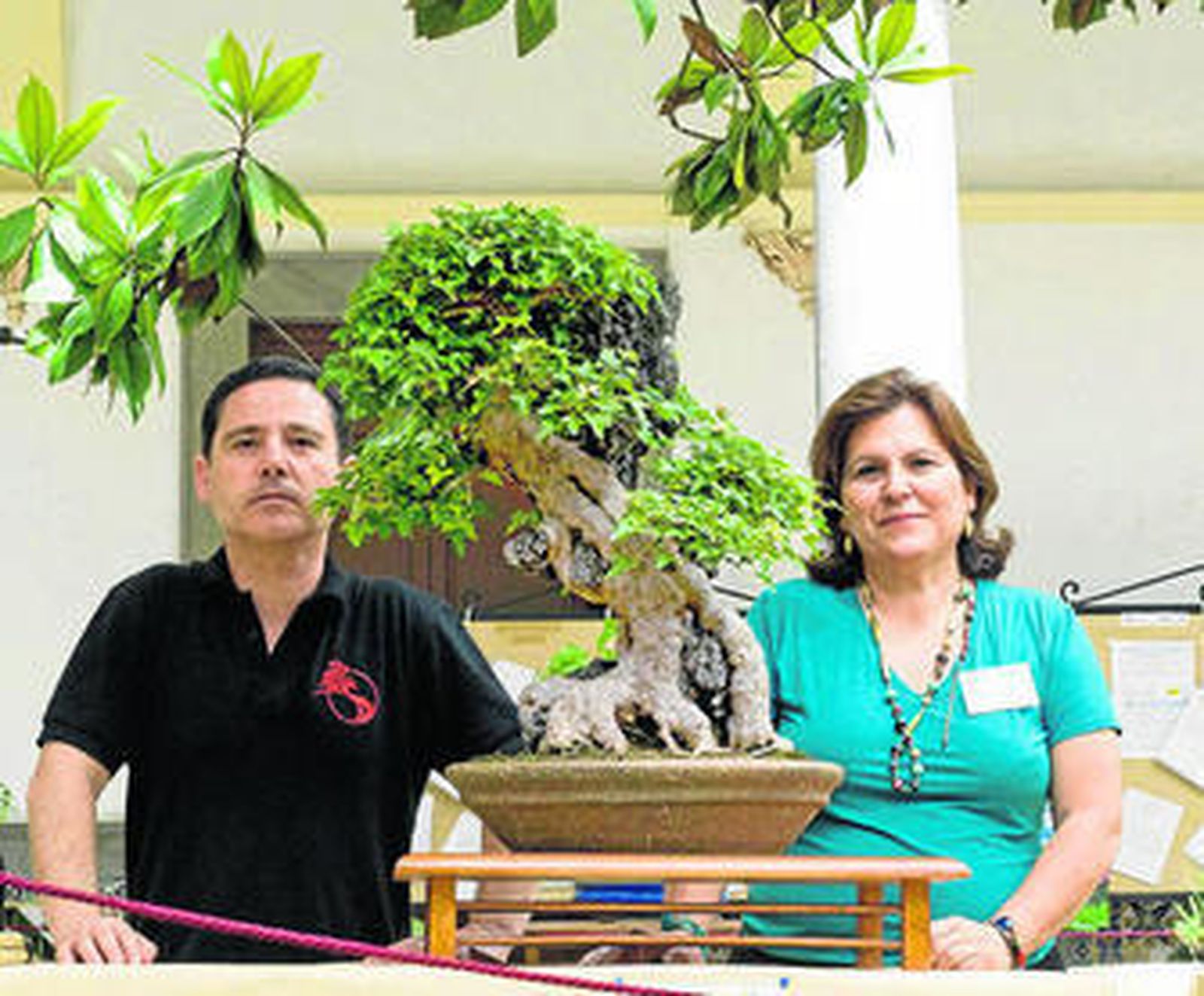 Un rincón para el exotismo en el patio del Ayuntamiento