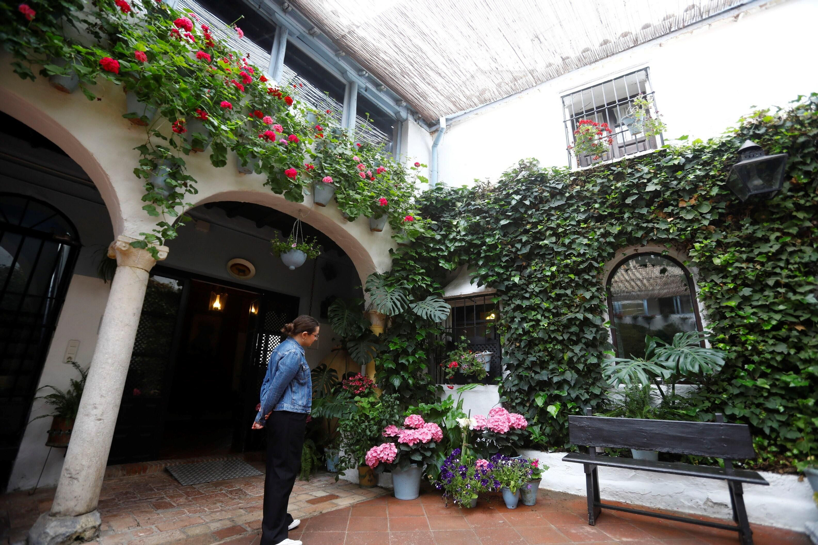Los patios de Córdoba de la ruta Judería-San Francisco, en imágenes