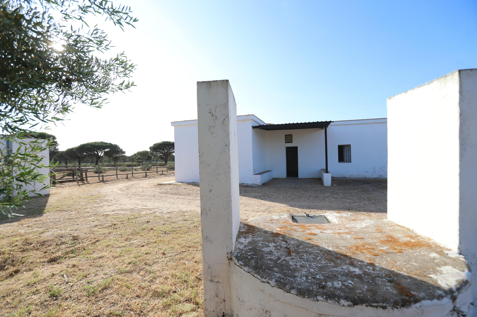 Imágenes del estado en el que se encuentran los caminos del Rocío para la Romería 2023