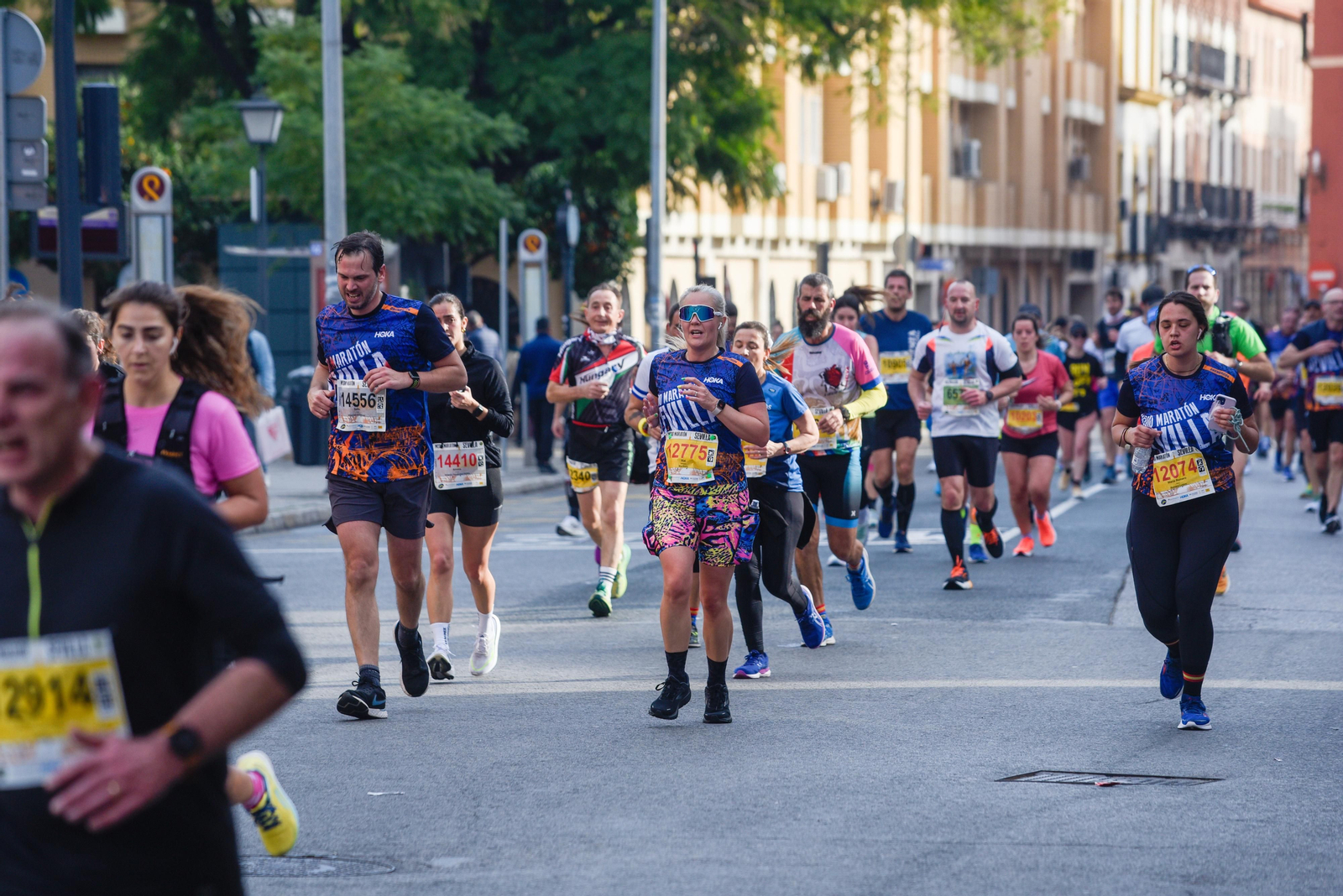 Búscate en la Media Maratón de Sevilla 2024, 3