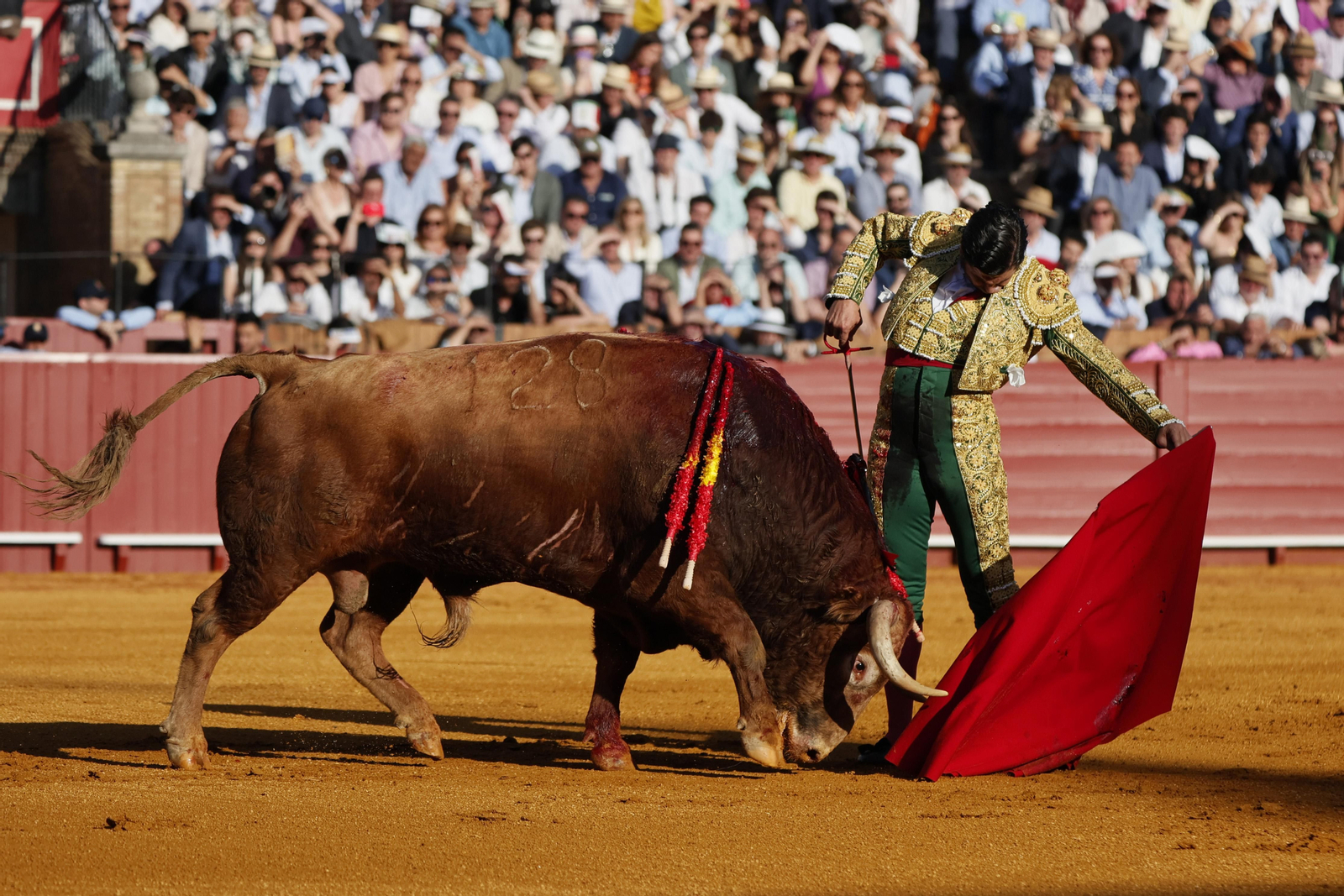 Las imágenes de la corrida