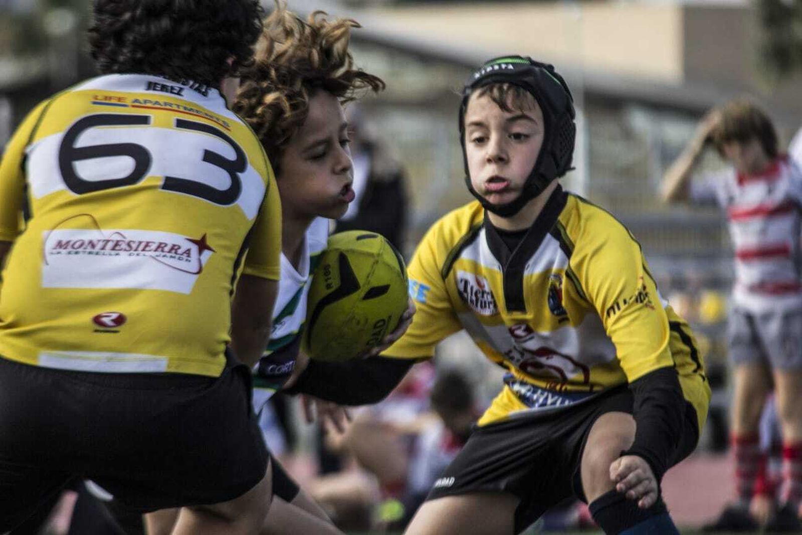 Montesierra patrocina a la Escuela de Rugby del Marianistas y ahora también al Rugby Unión Xerez.
