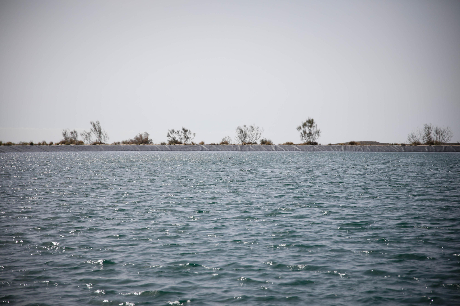 CUCN visita la desaladora de Carboneras y las balsas de Níjar