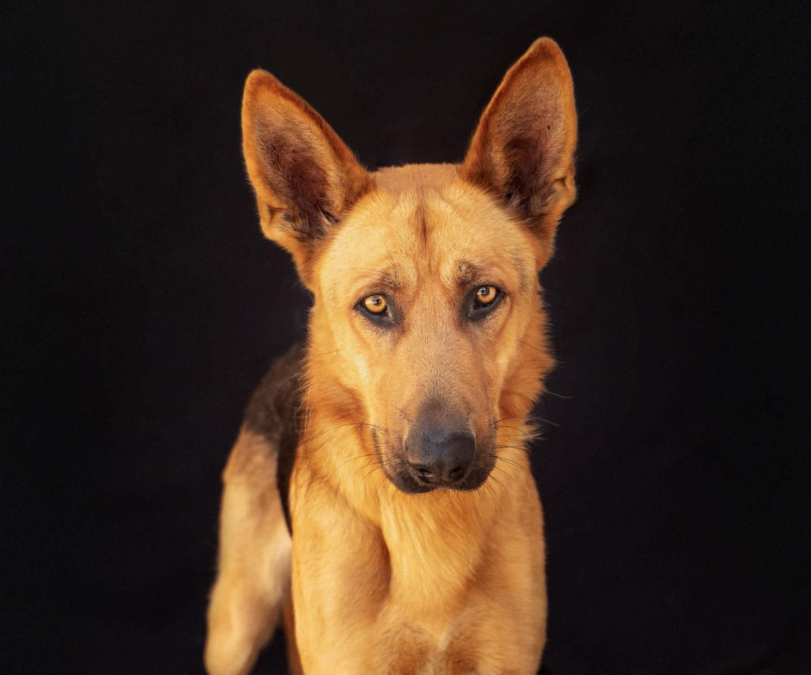 Una nueva vida para Pena