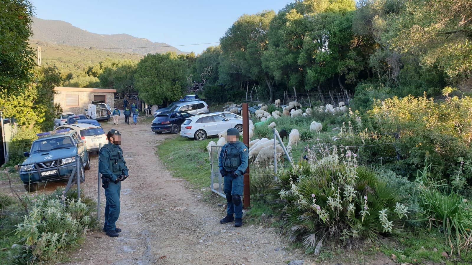 Imagen del dispositivo que se desarrolla en el Campo de Gibraltar.