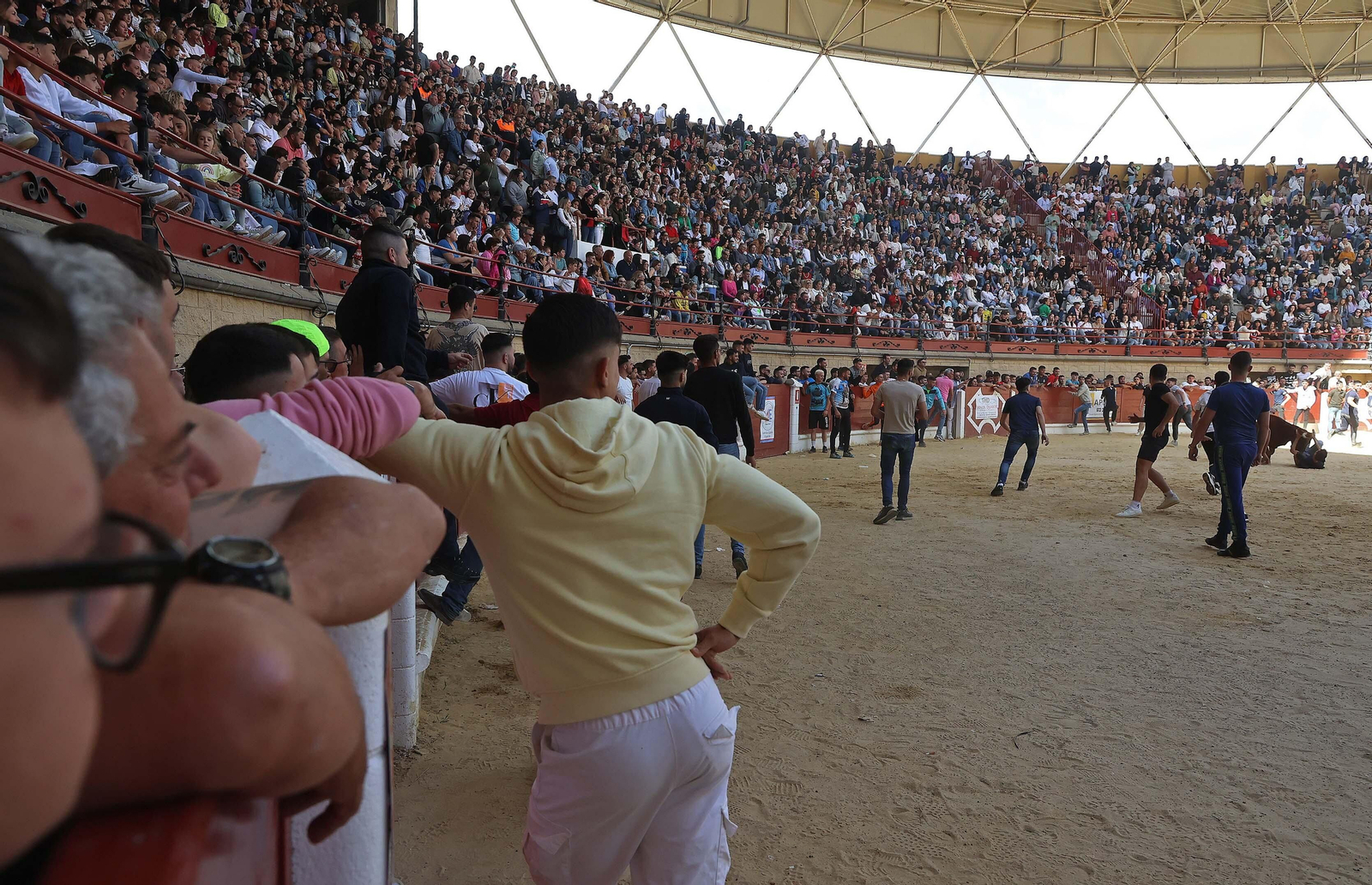 Las mejores fotos del Toro Embolao de Los Barrios 2024