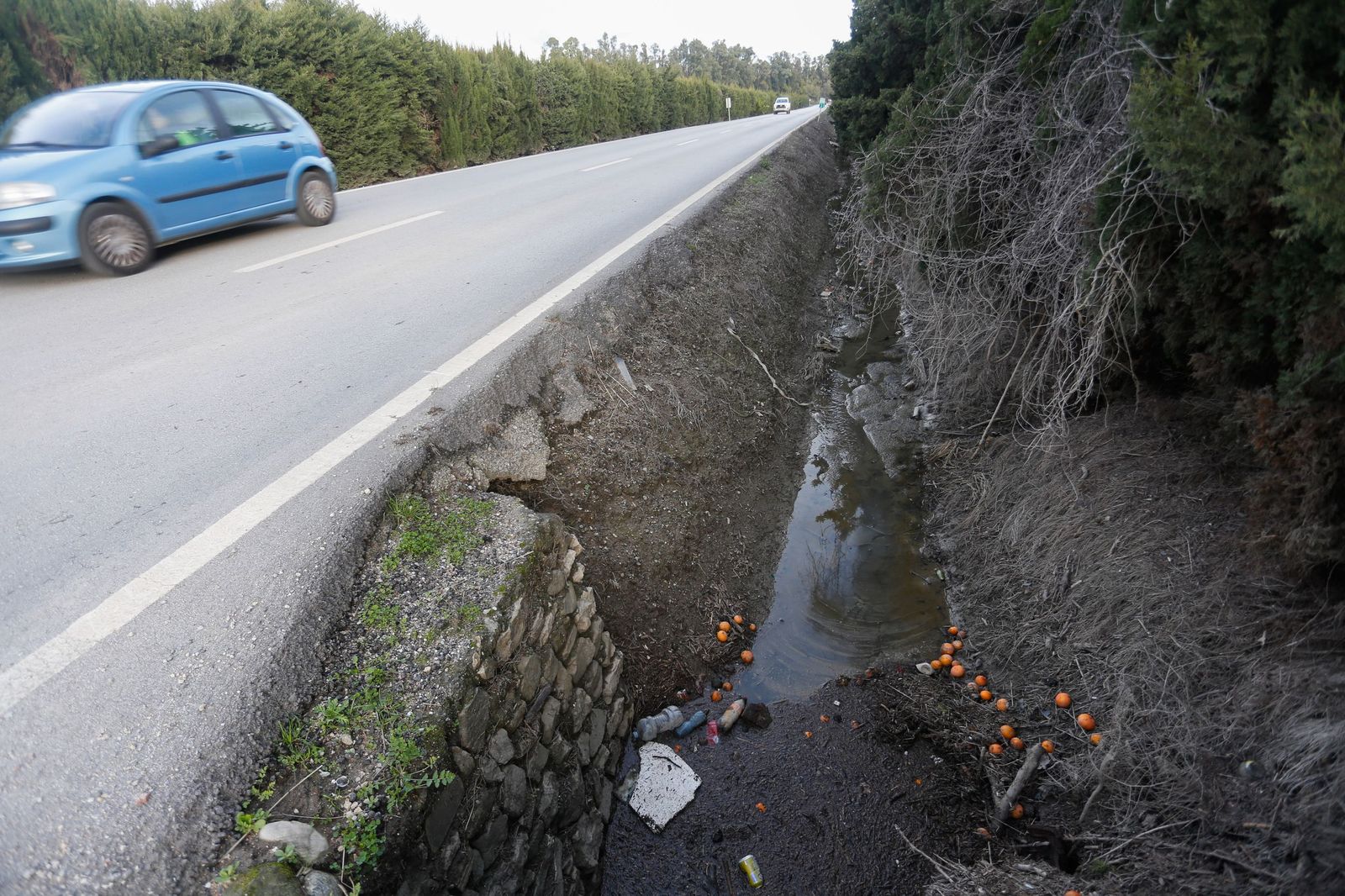 Fotos de las consecuencias de la borrasca Francis en Tesorillo y Jimena