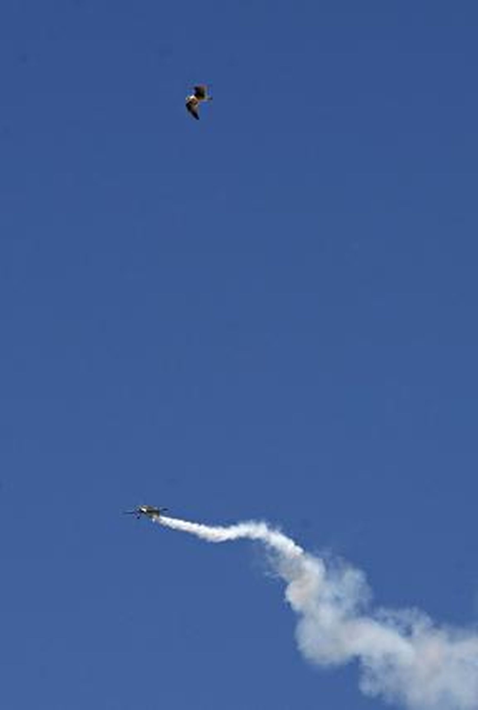 190.000 personas disfrutan del III Festival Aéreo en la playa de la Victoria. /Foto: Julio González