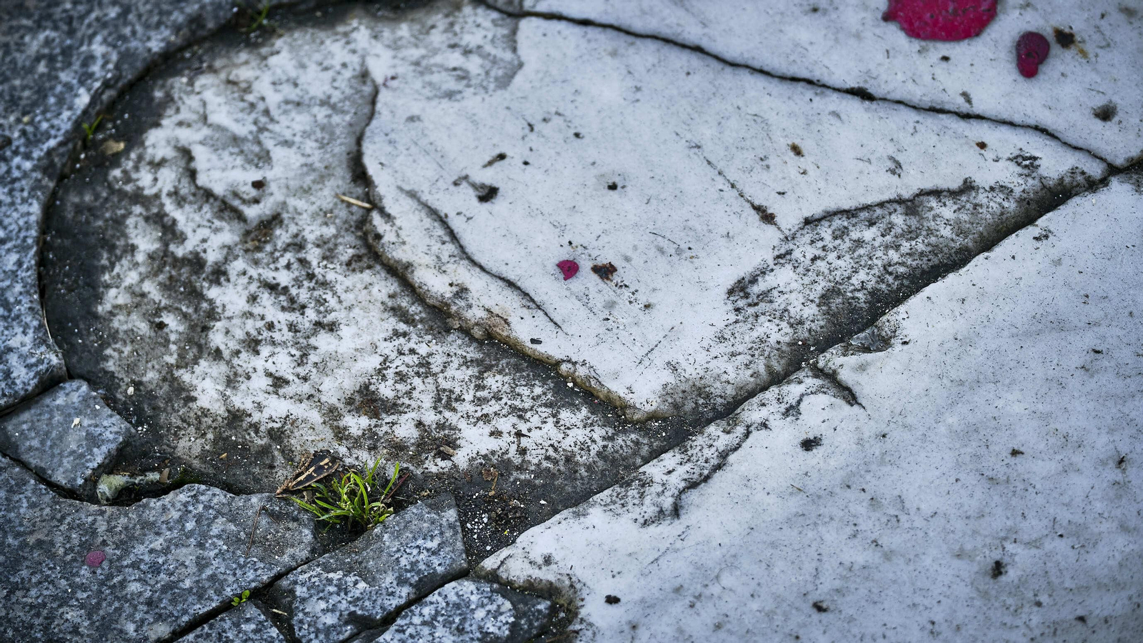 Estado del pavimento en plaza de la Catedral