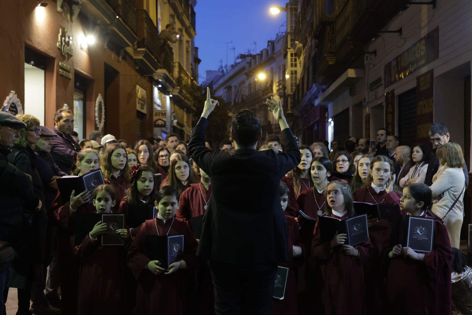 Las imágenes del Vía Crucis de las Hermandades