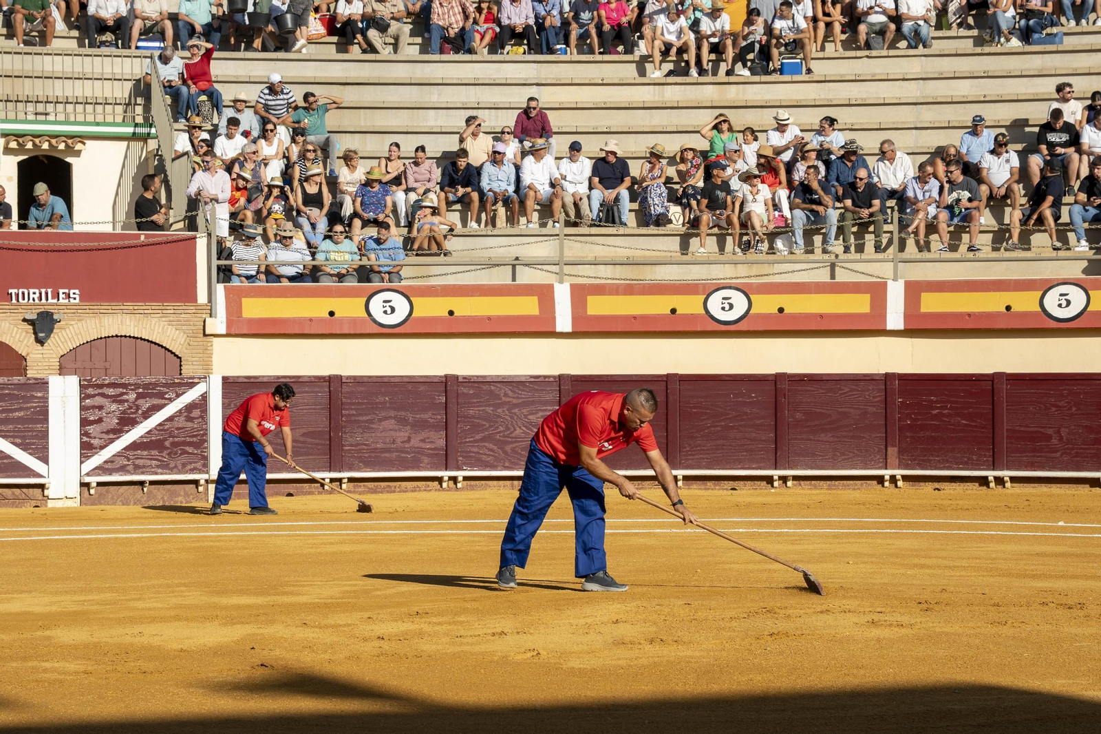Las imágenes de los toros en Vera