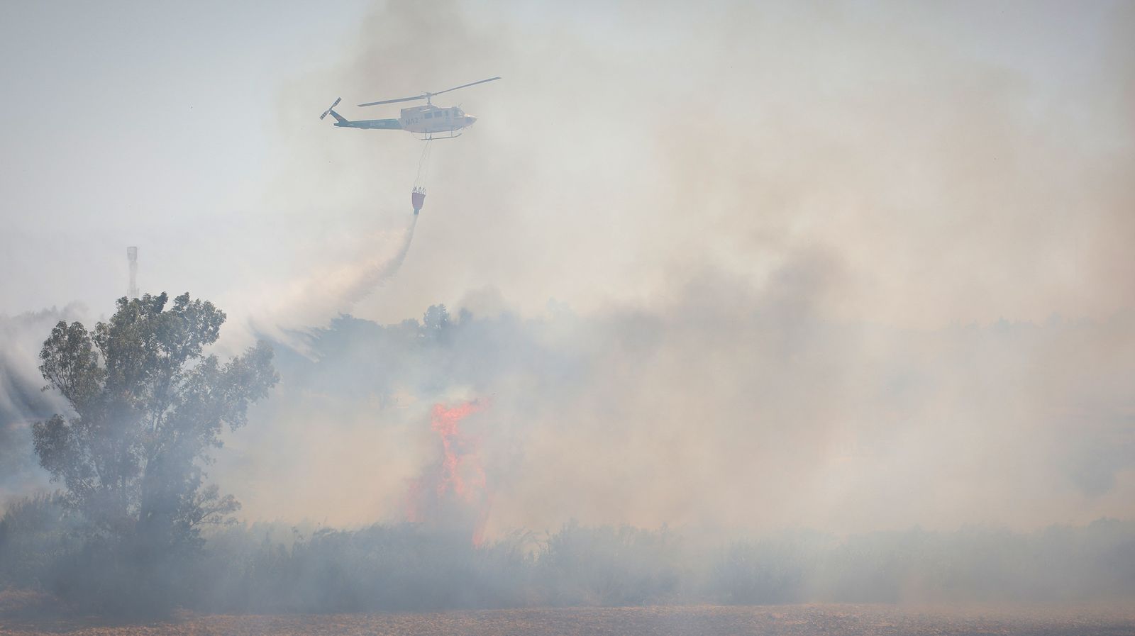 El fuego llega a las  casapuertas en Jerez