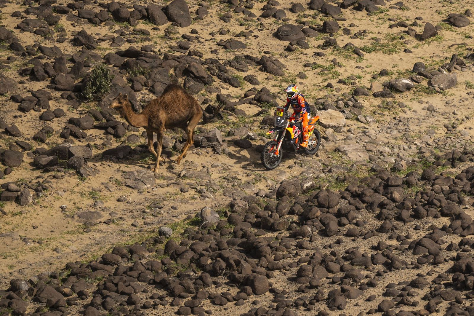 Las mejores fotos del Rally Dakar | duodécima etapa