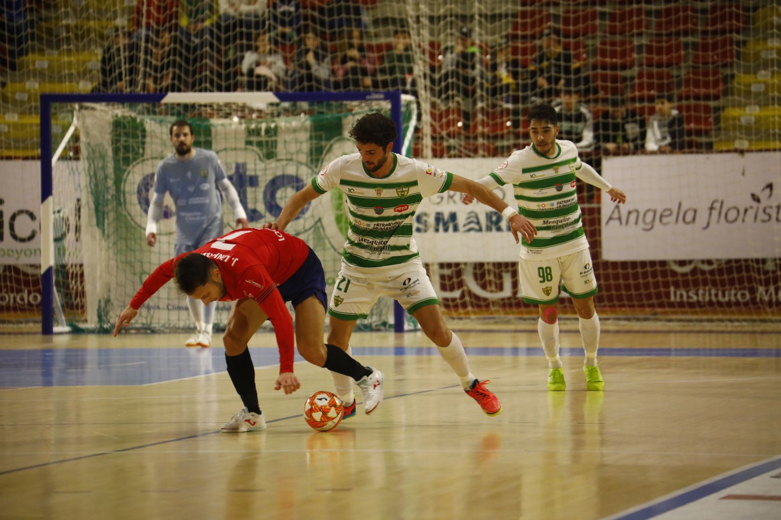 La victoria del Córdoba Futsal ante el Osasuna Magna, en imágenes