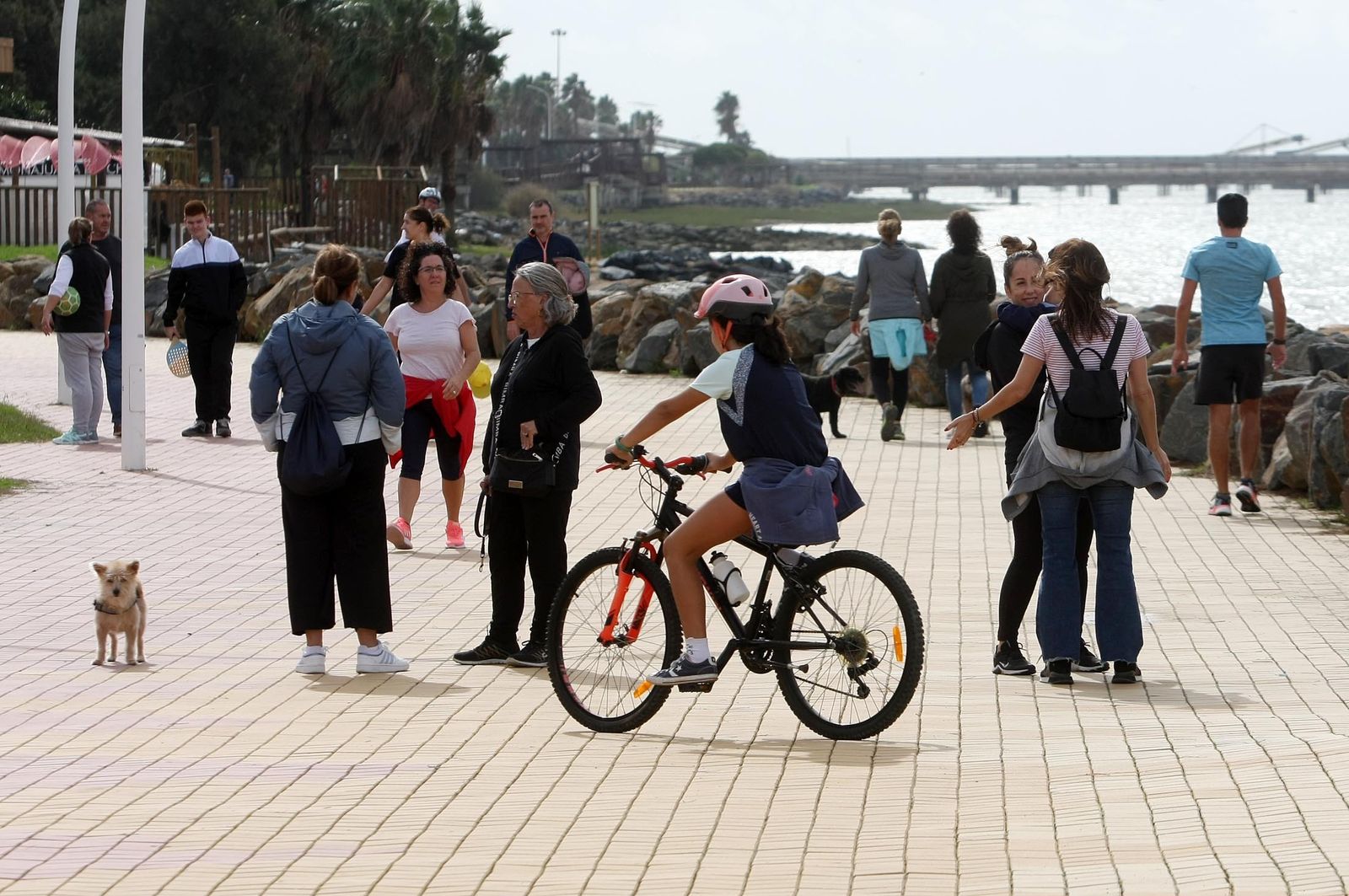 Imágenes del domingo 29 de octubre en Huelva