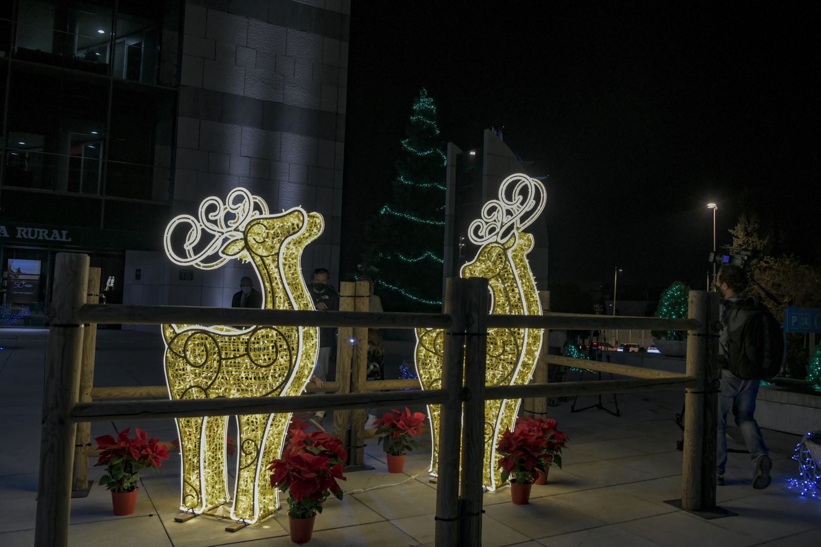 El Banco de Alimentos enciende la Navidad de Caja Rural Granada