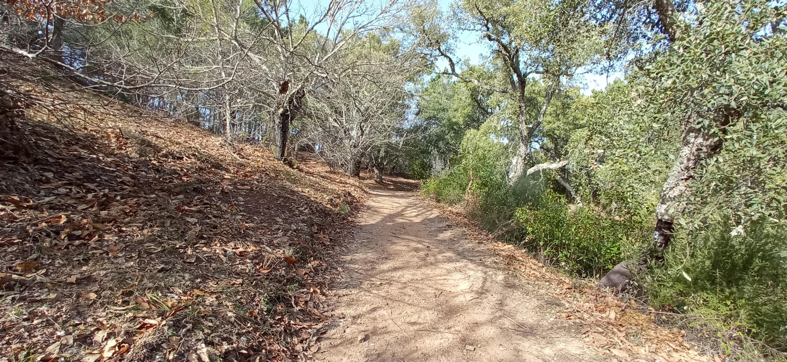 Las imágenes de la ruta de la Dehesa de Valdelama: De Los Marines a Fuenteheridos y vuelta
