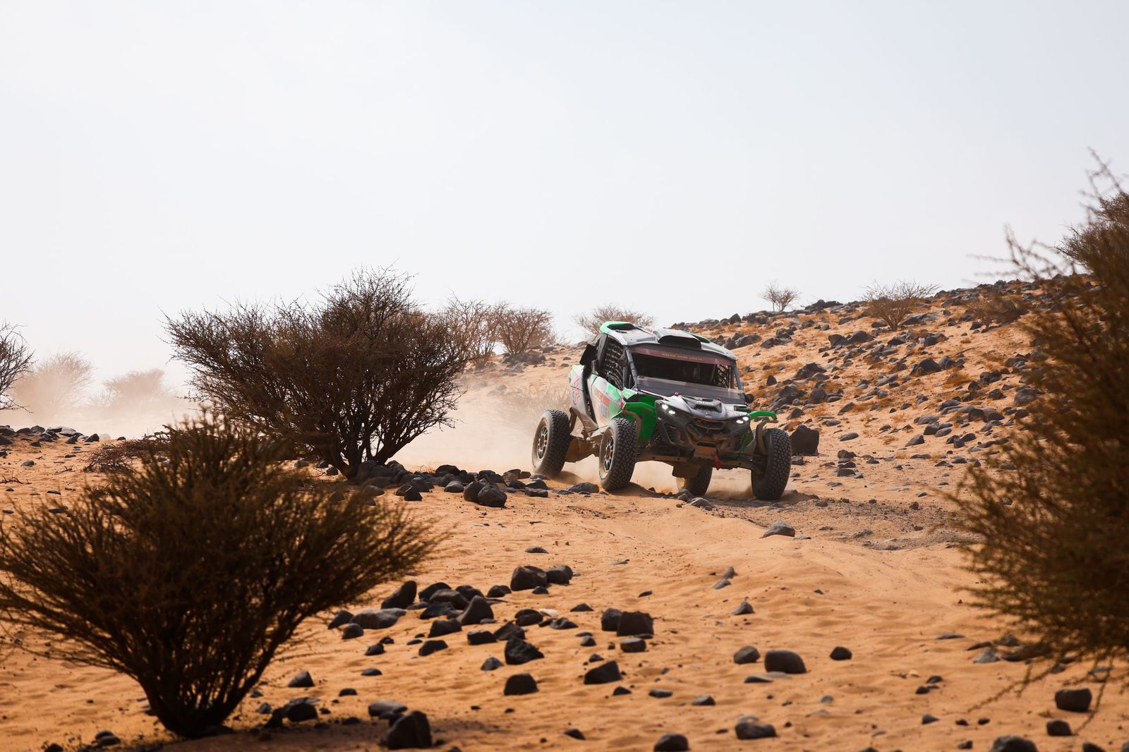 Las mejores fotos del Rally Dakar | undécima etapa