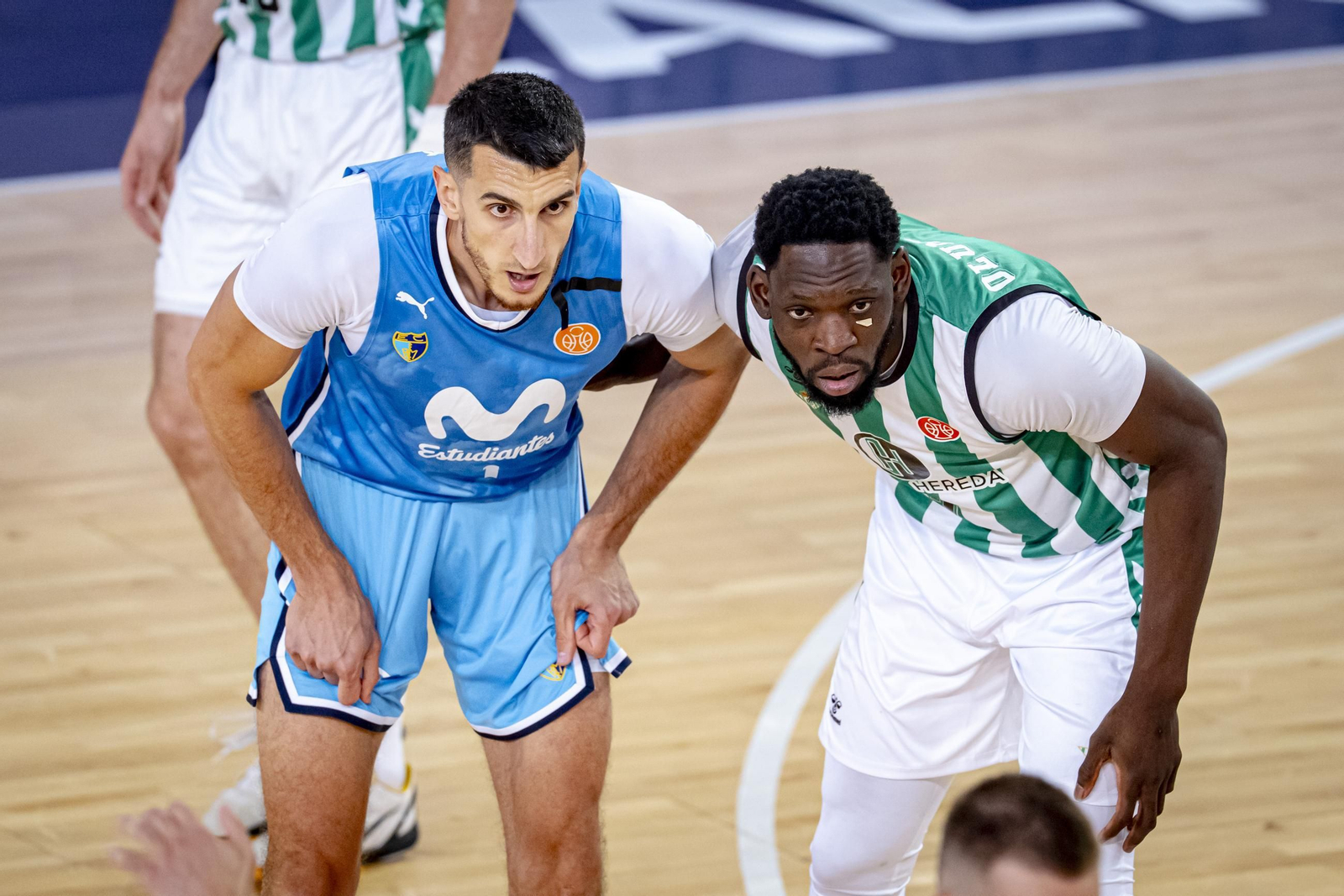 Las fotos del Betis Baloncesto - Movistar Estudiantes