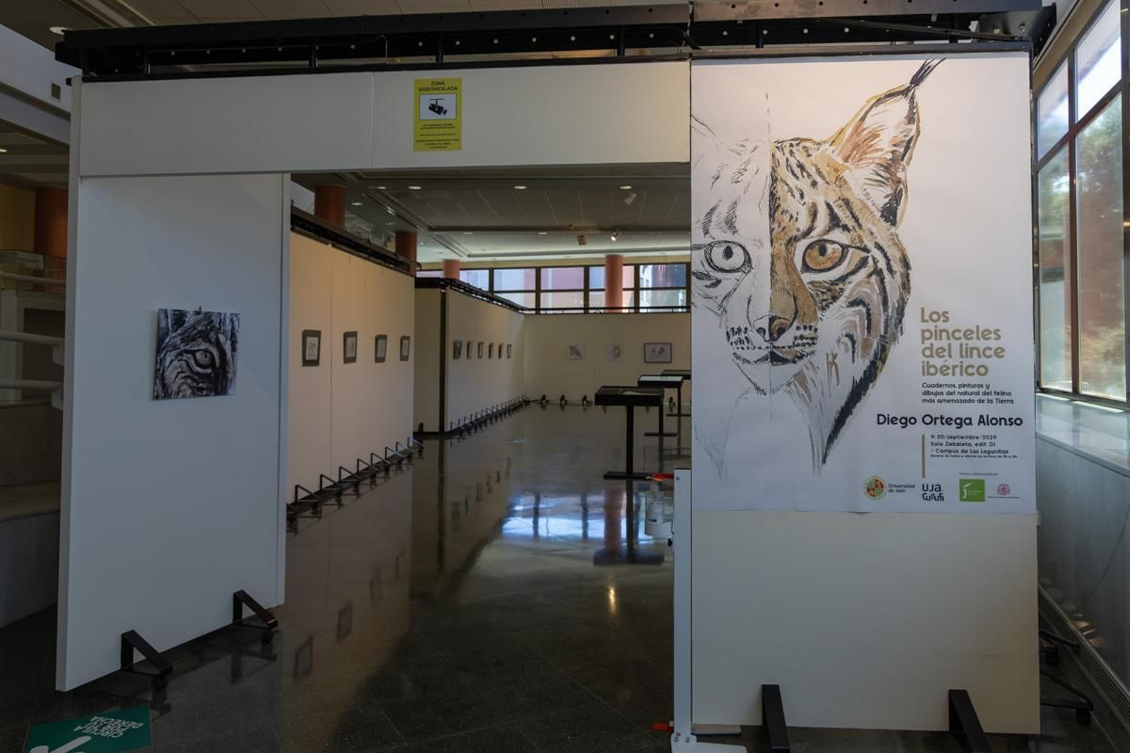 Exposición Los pinceles del lince ibérico, en imágenes