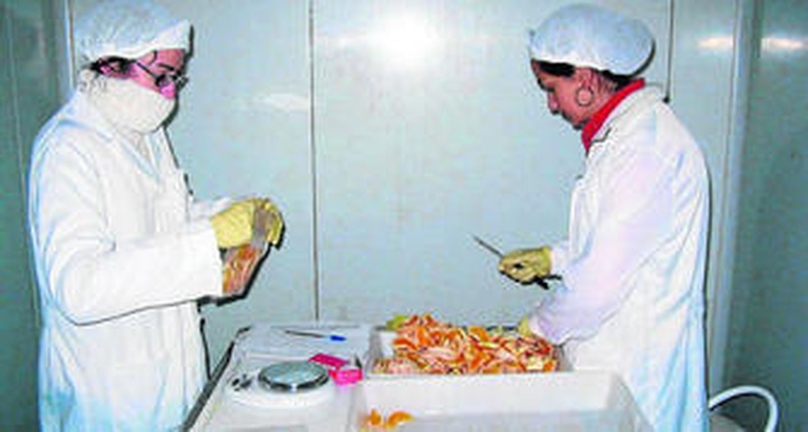 Suflí albergará una industria de quinta gama con una inversión de 0,6 millones