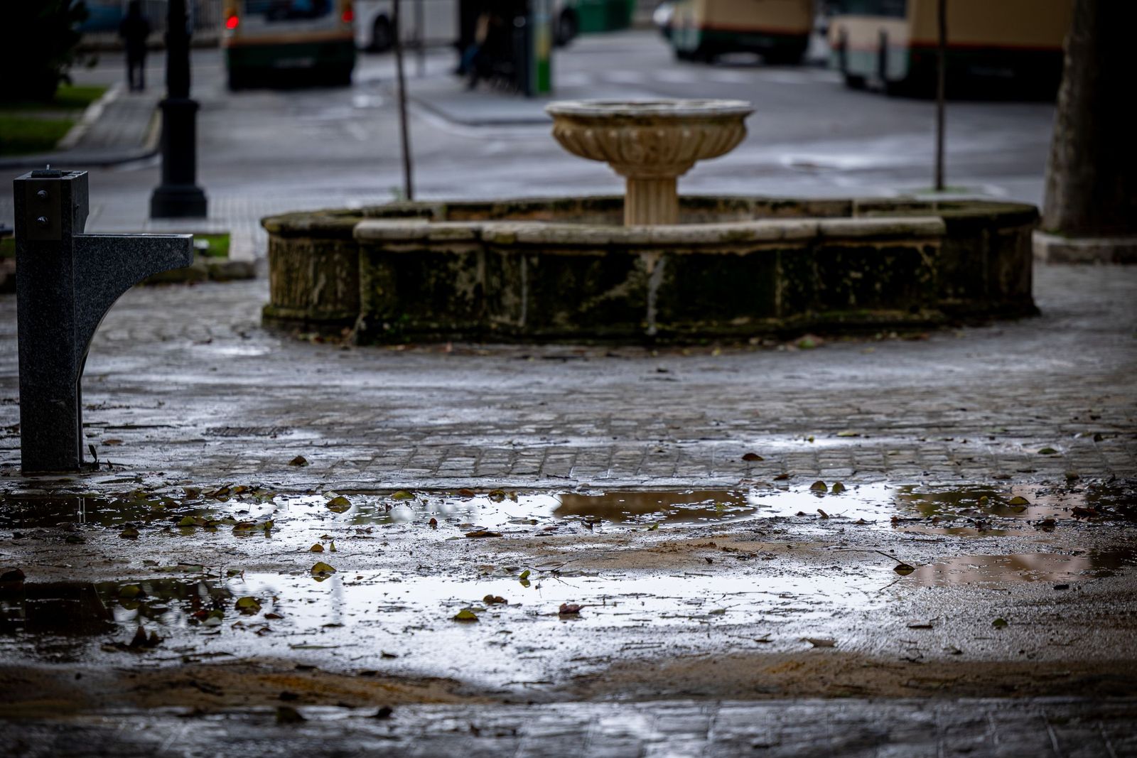 Las imágenes del mal estado de la Plaza de España en Cádiz