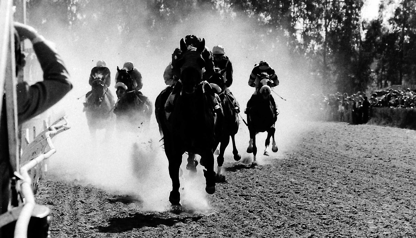 75 aniversario del hipódromo de Pineda