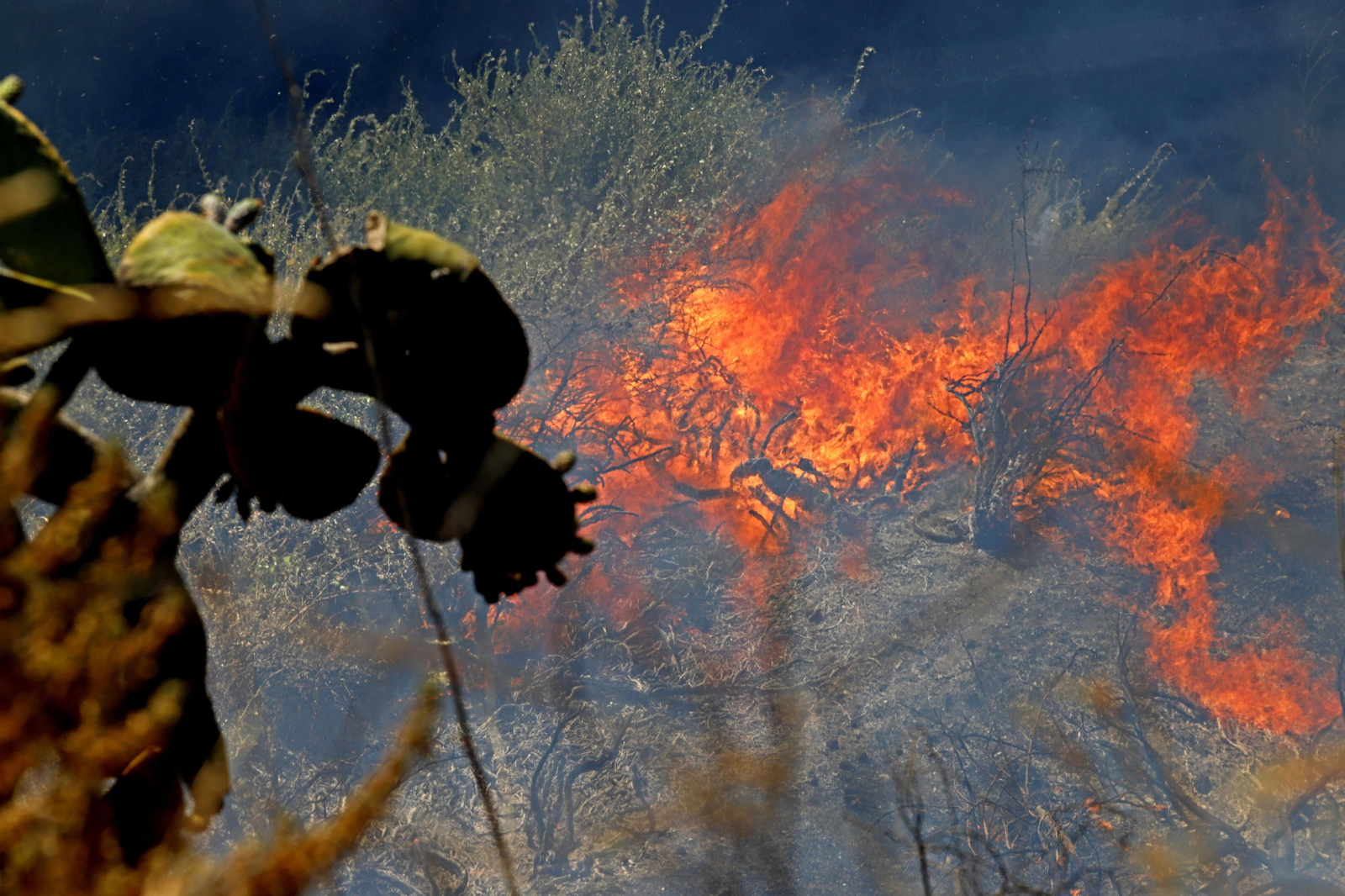 Imágenes del espectacular incendio en las laderas del Conquero
