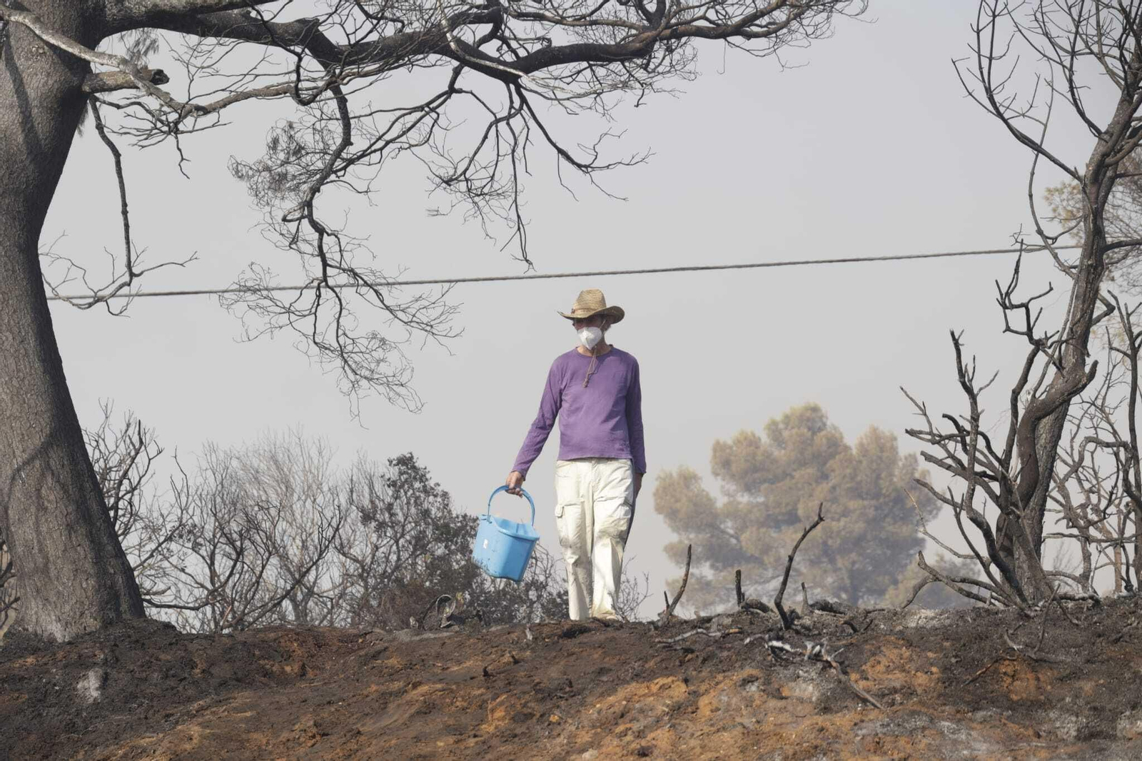 El fuego arrasa Las Canteras en Puerto Real