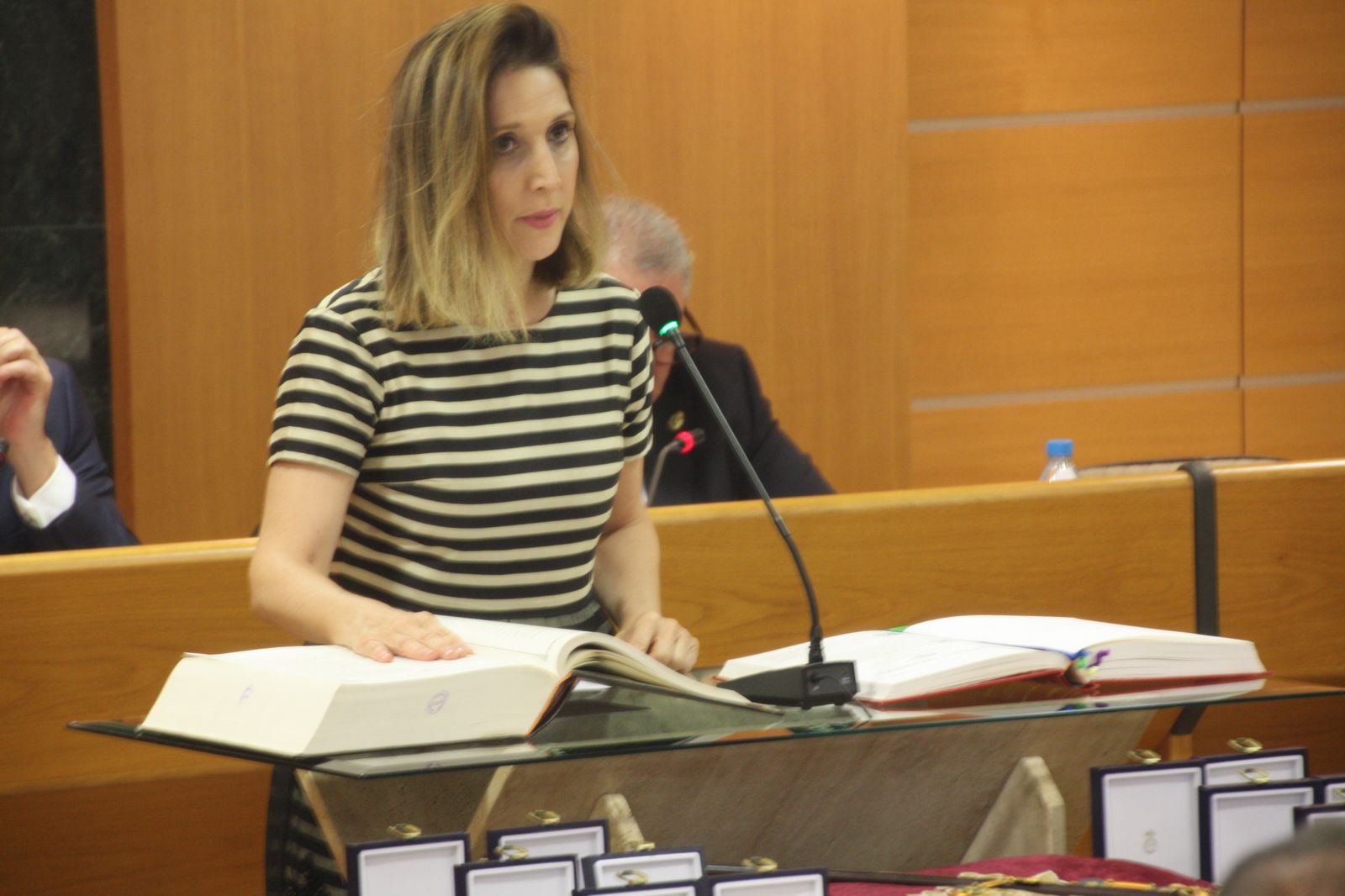 Sesión de constitución del Ayuntamiento de El Ejido