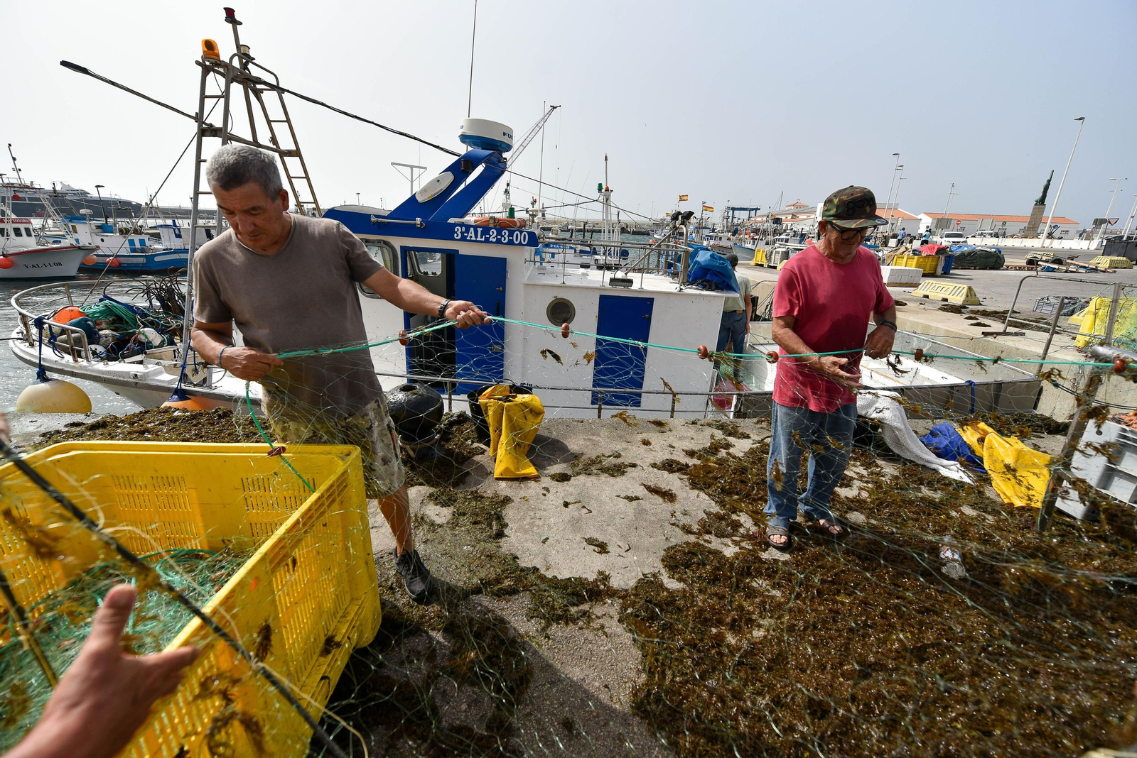 Limpieza de redes cubiertas por el alga invasora.