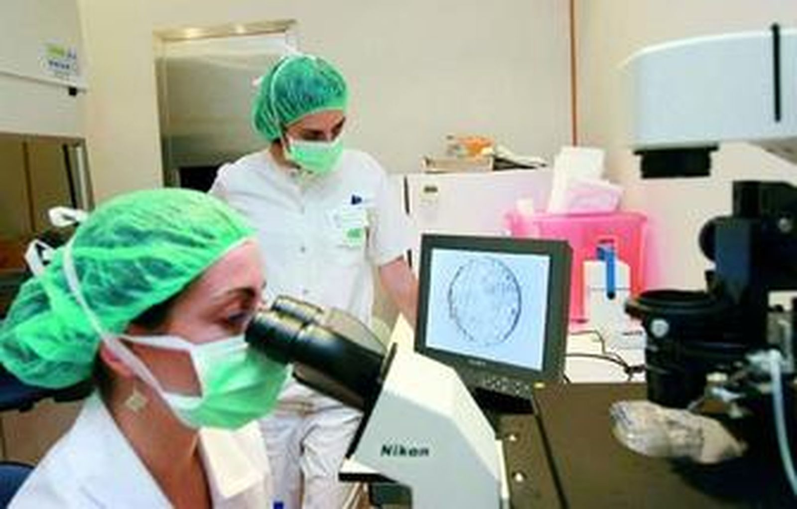 Especialistas observan al microscopio un óvulo fecundado.
