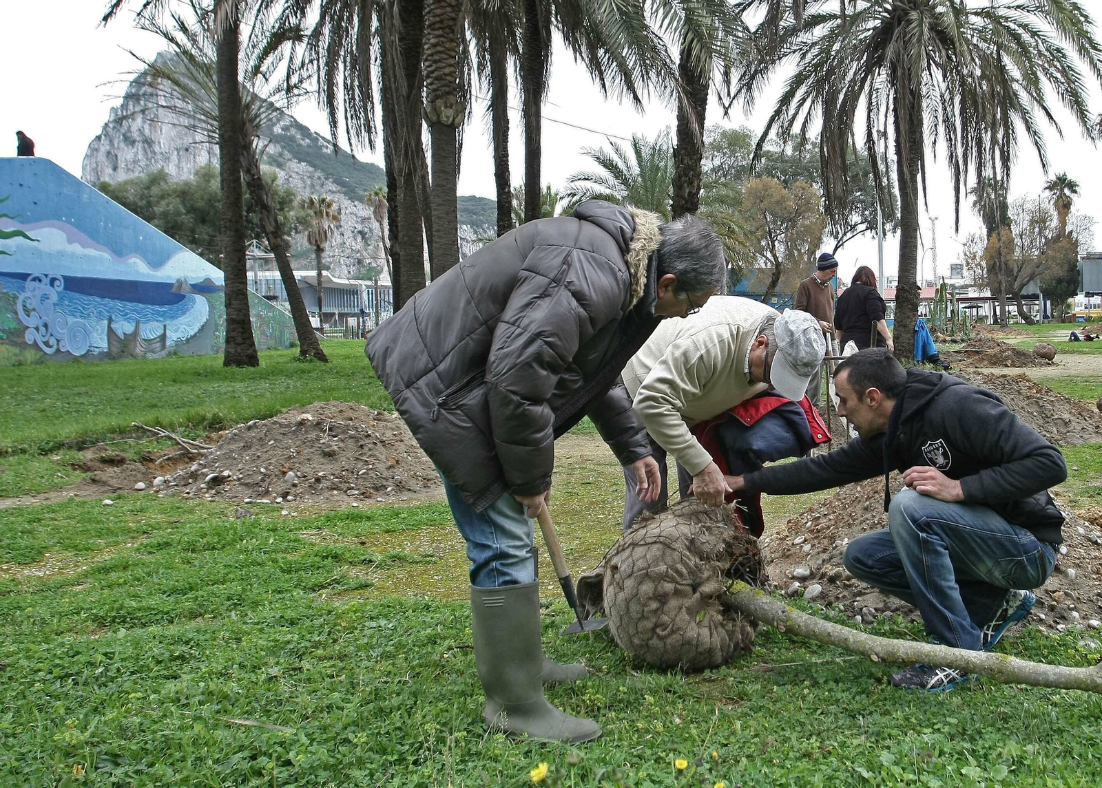 Una plantación de árboles en el parque Princesa Sofía
