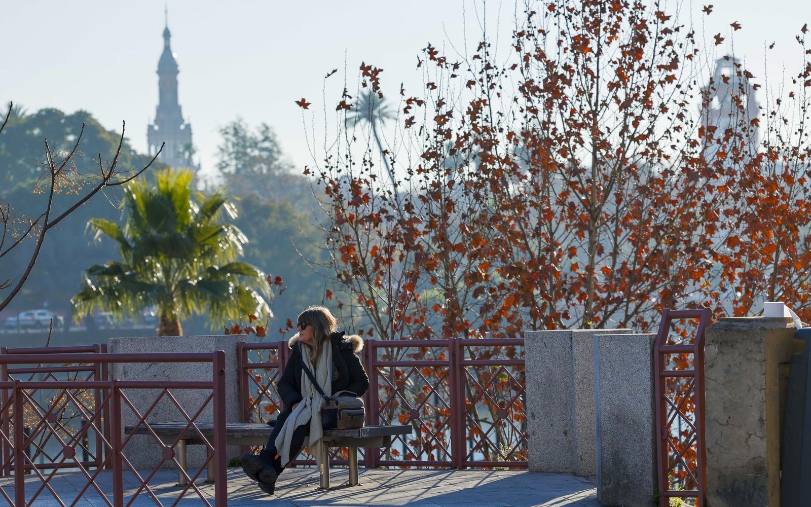 Las fotos del frío en Sevilla