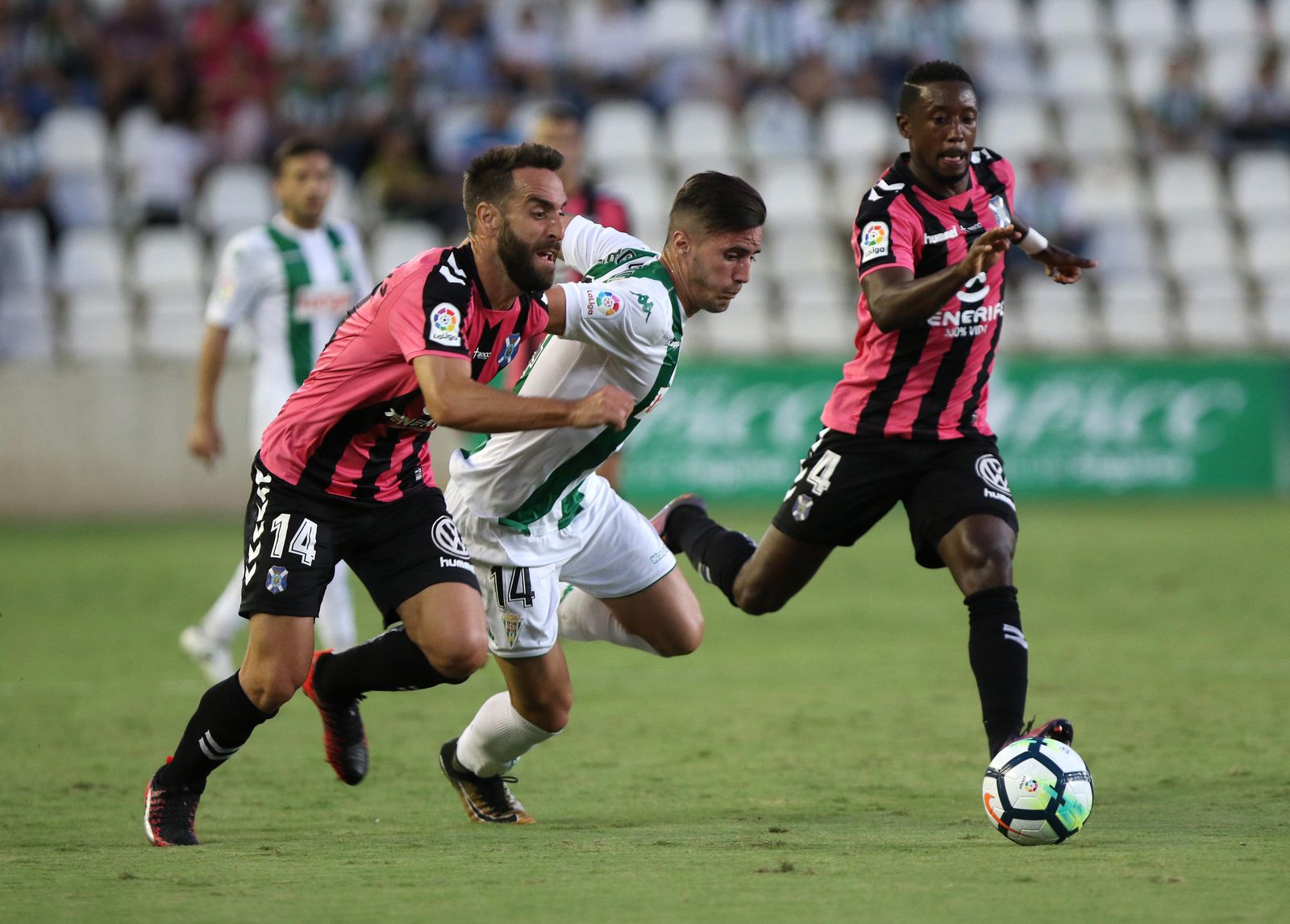 Las imágenes del Córdoba-Tenerife