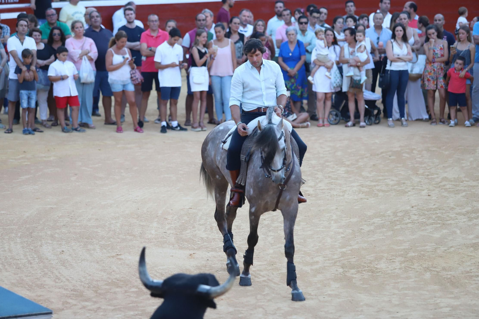 Imágenes de la clase de rejoneo de Andrés Romero en la Plaza de Toros