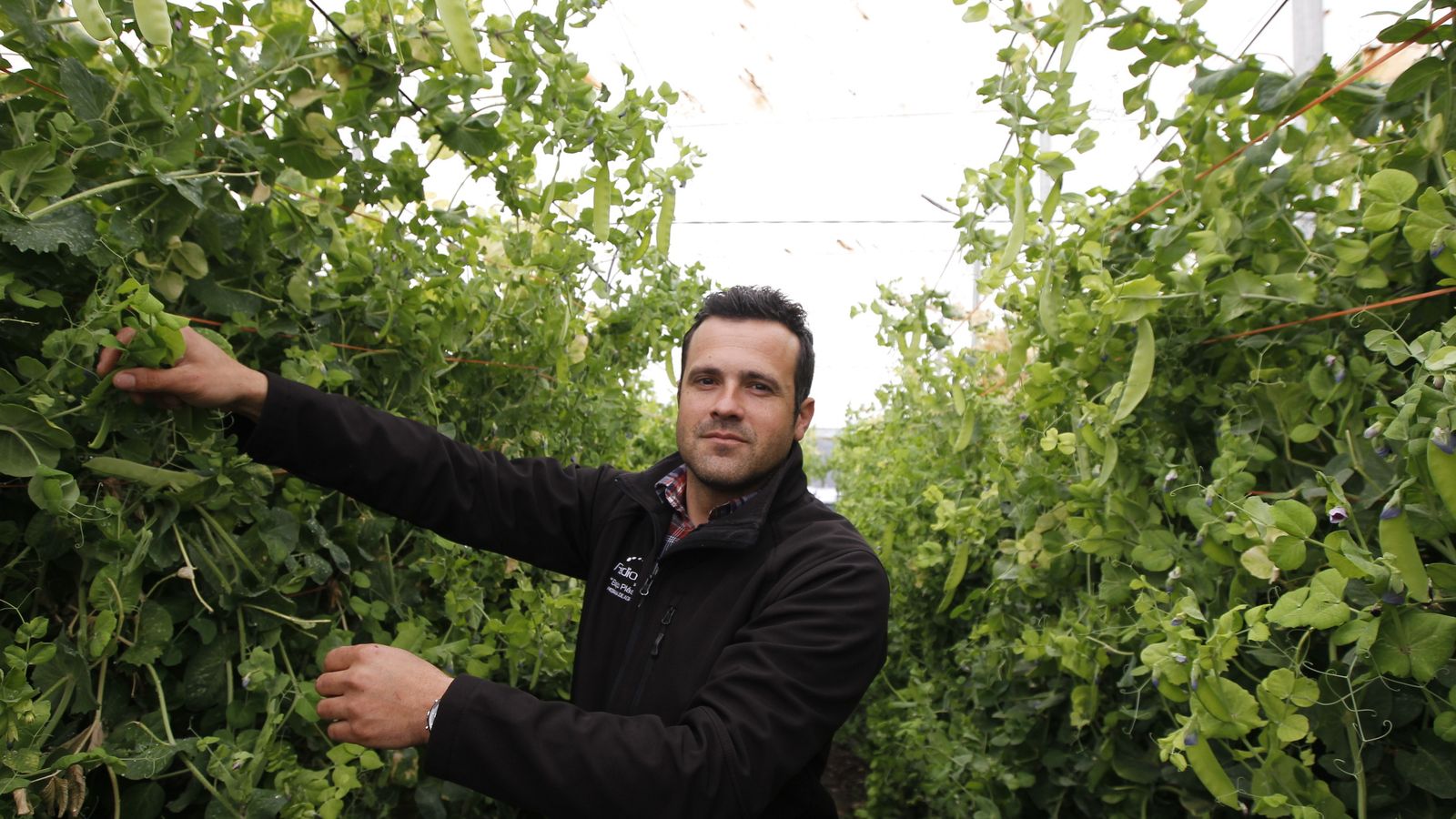 El concejal de Agricultura, José Juan Gutiérrez, muestra los présules en una producción local.